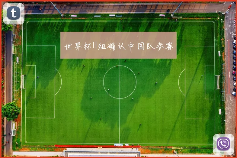 世界杯H组确认中国队参赛