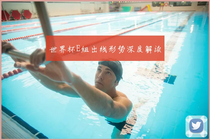 世界杯E组出线形势深度解读