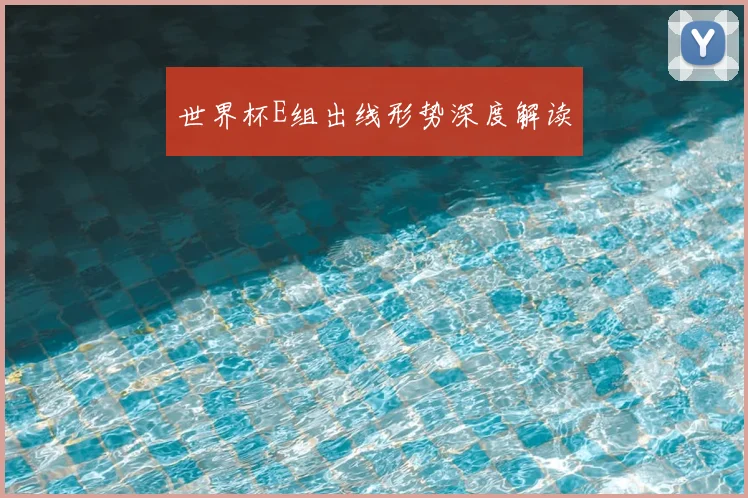 世界杯E组出线形势深度解读